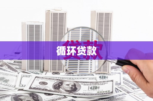 苑里循环贷款