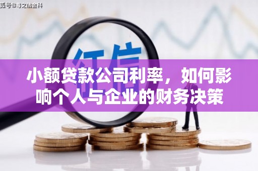 苑里小额贷款公司利率，如何影响个人与企业的财务决策