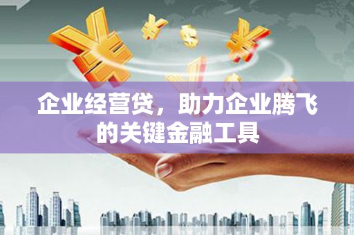 苑里企业经营贷，助力企业腾飞的关键金融工具