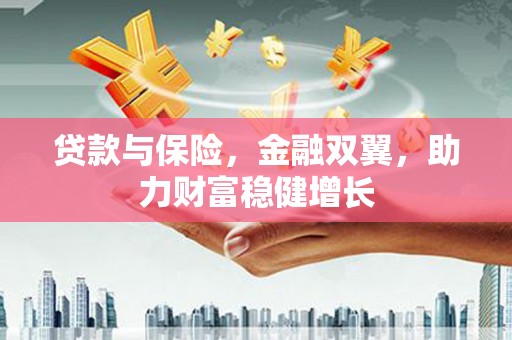 苑里贷款与保险，金融双翼，助力财富稳健增长