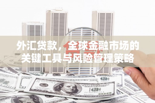 苑里外汇贷款，全球金融市场的关键工具与风险管理策略