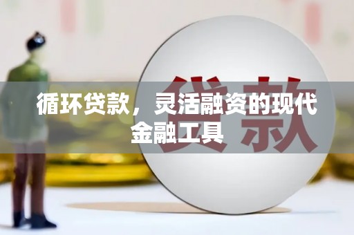 苑里循环贷款，灵活融资的现代金融工具