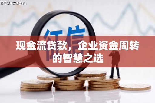 苑里现金流贷款，企业资金周转的智慧之选