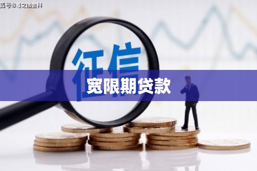苑里宽限期贷款
