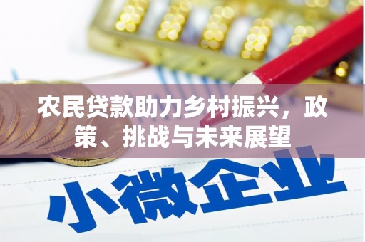 苑里农民贷款助力乡村振兴，政策、挑战与未来展望