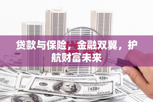 苑里贷款与保险，金融双翼，护航财富未来