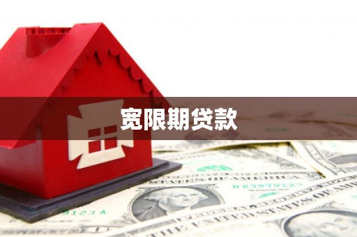 苑里宽限期贷款