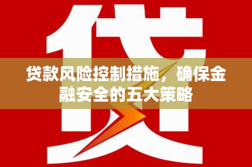 苑里贷款风险控制措施，确保金融安全的五大策略