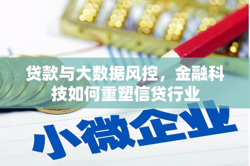 苑里贷款与大数据风控，金融科技如何重塑信贷行业