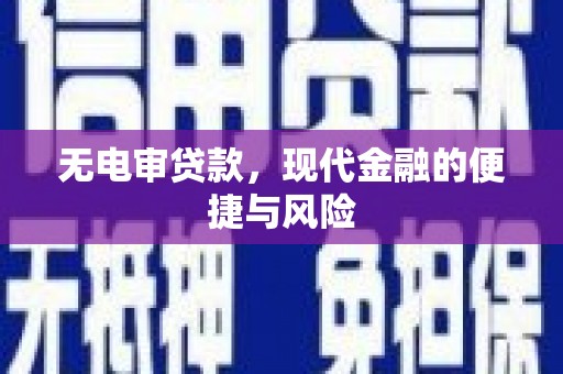 苑里无电审贷款，现代金融的便捷与风险