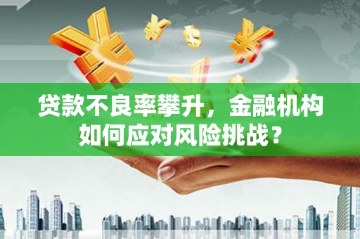 苑里贷款不良率攀升，金融机构如何应对风险挑战？