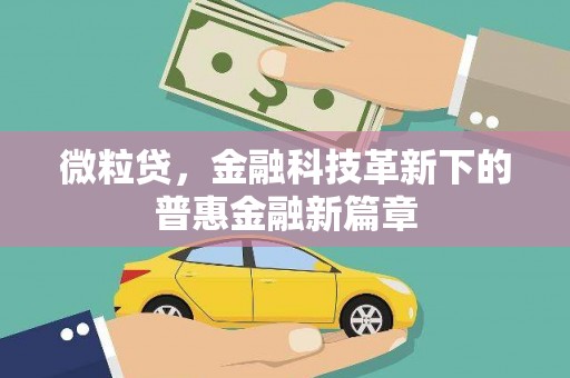 苑里微粒贷，金融科技革新下的普惠金融新篇章