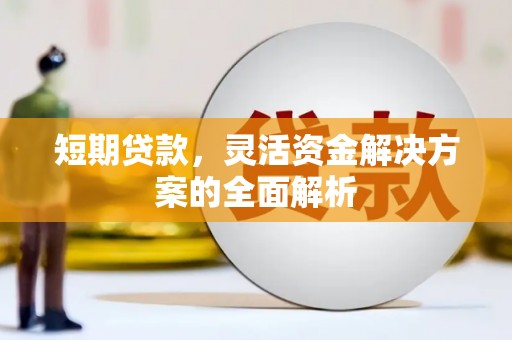 苑里短期贷款，灵活资金解决方案的全面解析