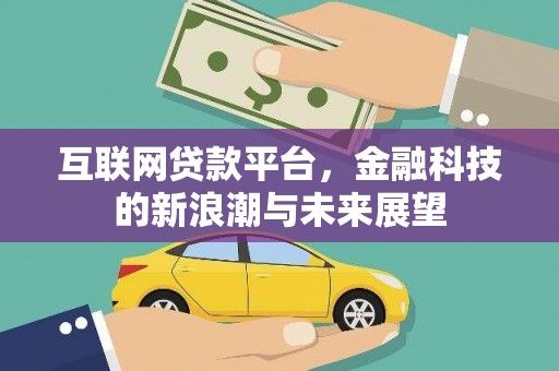 苑里互联网贷款平台，金融科技的新浪潮与未来展望