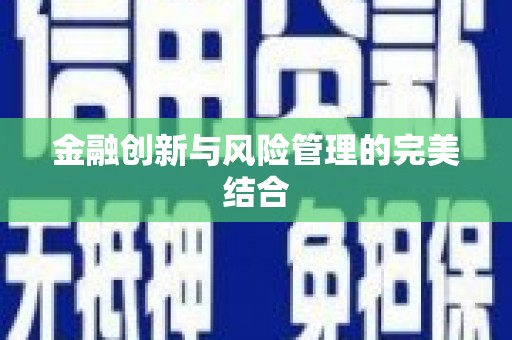 苑里金融创新与风险管理的完美结合