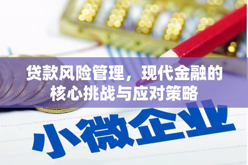 苑里贷款风险管理，现代金融的核心挑战与应对策略
