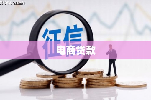 苑里电商贷款