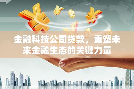 苑里金融科技公司贷款，重塑未来金融生态的关键力量