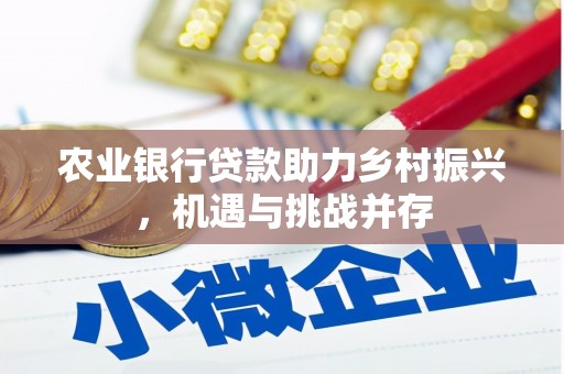 苑里农业银行贷款助力乡村振兴，机遇与挑战并存
