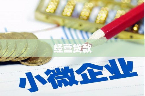苑里经营贷款