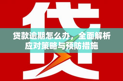 苑里贷款逾期怎么办，全面解析应对策略与预防措施