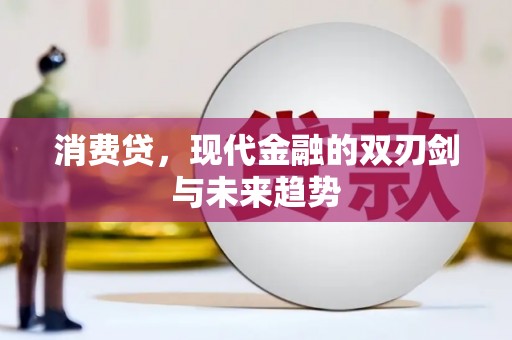 苑里消费贷，现代金融的双刃剑与未来趋势