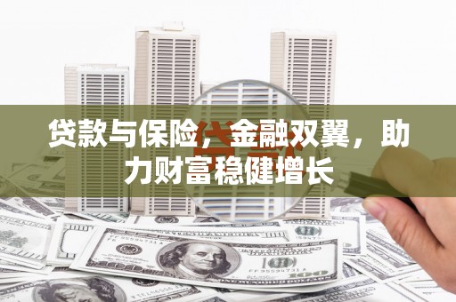 苑里贷款与保险，金融双翼，助力财富稳健增长