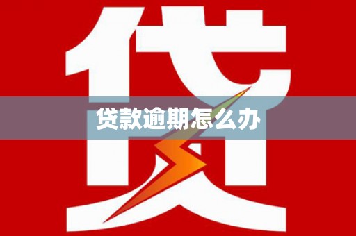 苑里贷款逾期怎么办