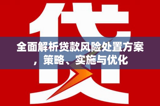苑里全面解析贷款风险处置方案，策略、实施与优化
