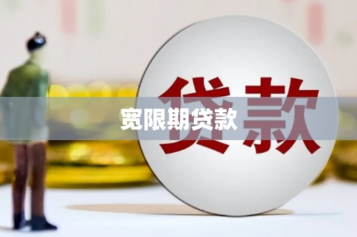 苑里宽限期贷款