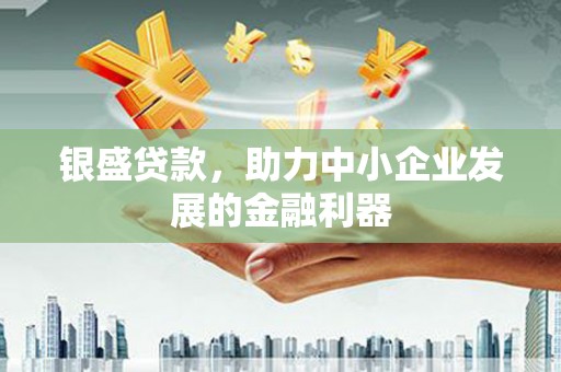 苑里银盛贷款，助力中小企业发展的金融利器