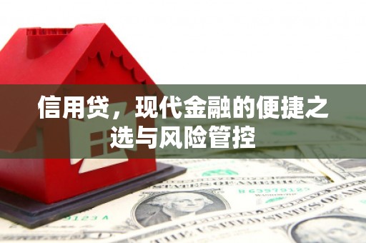 苑里信用贷，现代金融的便捷之选与风险管控