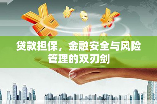 苑里贷款担保，金融安全与风险管理的双刃剑