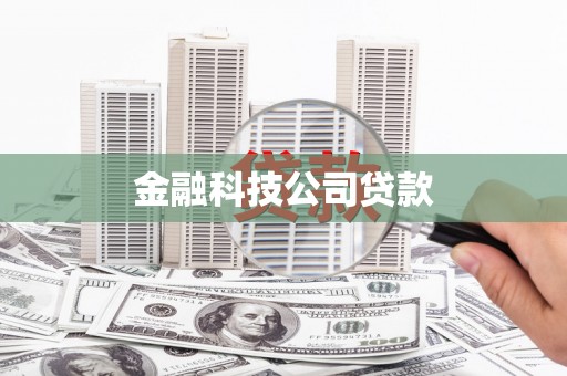 苑里金融科技公司贷款
