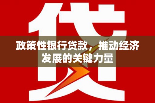 苑里政策性银行贷款，推动经济发展的关键力量