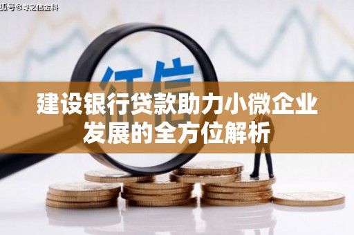 苑里建设银行贷款助力小微企业发展的全方位解析