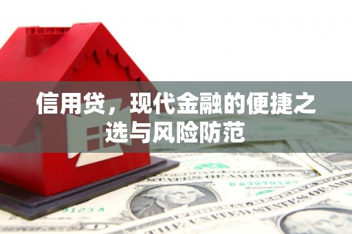 苑里信用贷，现代金融的便捷之选与风险防范