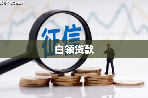 苑里白领贷款