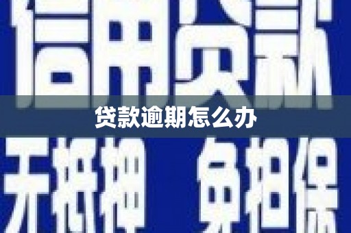 苑里贷款逾期怎么办