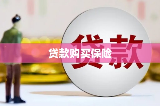 苑里贷款购买保险