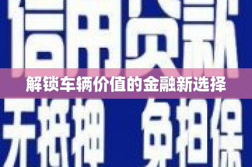 苑里解锁车辆价值的金融新选择
