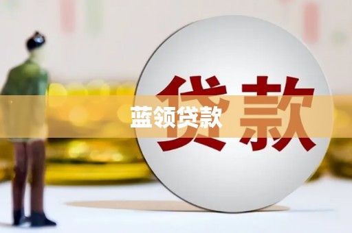 苑里蓝领贷款