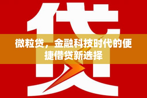 苑里微粒贷，金融科技时代的便捷借贷新选择
