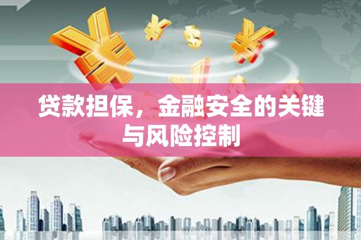 苑里贷款担保，金融安全的关键与风险控制