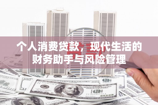苑里个人消费贷款，现代生活的财务助手与风险管理