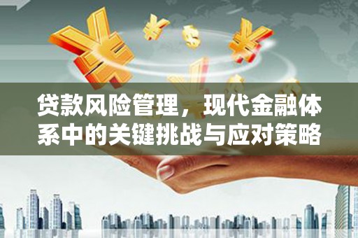 苑里贷款风险管理，现代金融体系中的关键挑战与应对策略