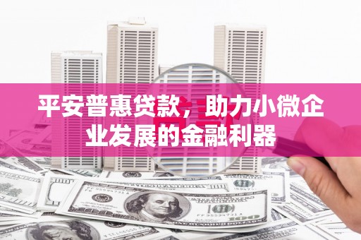 苑里平安普惠贷款，助力小微企业发展的金融利器