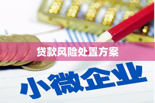 苑里贷款风险处置方案