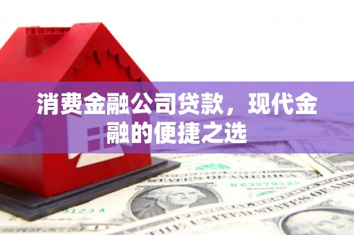 苑里消费金融公司贷款，现代金融的便捷之选