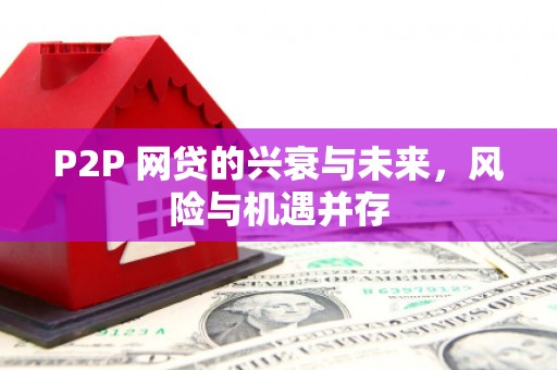 苑里P2P 网贷的兴衰与未来，风险与机遇并存